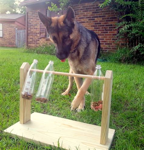 Bark City Doggy Daycare: DIY Enrichment Games For Your Dog