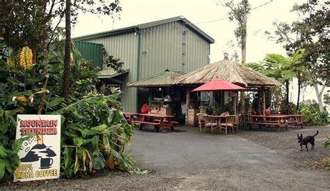 These Kona Coffee Tours Enhance the Beauty of the Big Island