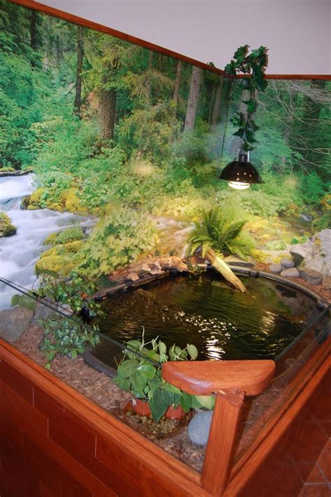 Indoor turtle pond....start to finish !!! | Turtle pond, Turtle habitat ...