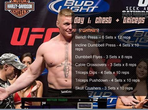 Professional Fighter Brock Lesnar and His Workout Routine, Diet