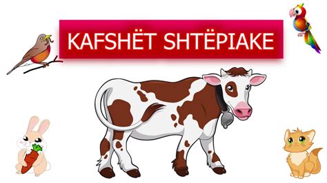 ♥Kafshët Shtëpiake ♥ Mësojmë së bashku kafshët shtëpiake ♥ - YouTube