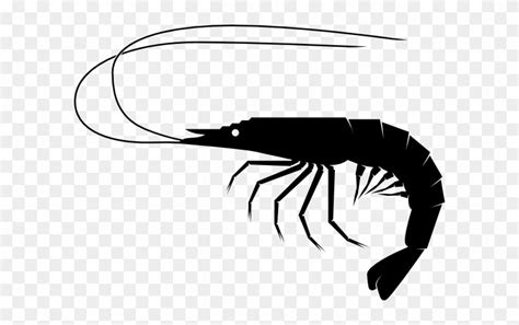 Black Shrimp Icon Clip Art At Clker - Shrimp Clipart Black And White ...