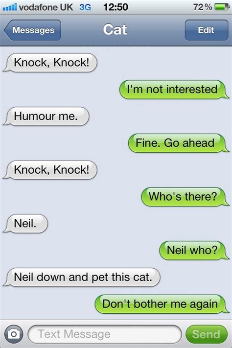 The Cat and the knock knock joke