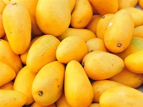 Pakistani mangoes to enter Chinese market from June 10 - Pakistan ...