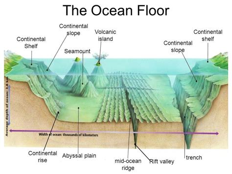 ocean floor diagram - Yarnal