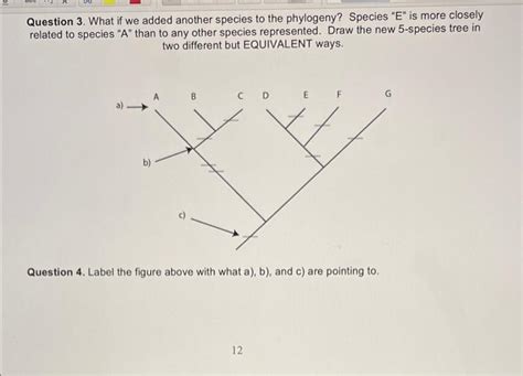 Solved Phylogeny and Cladistics Worksheet (These are the | Chegg.com