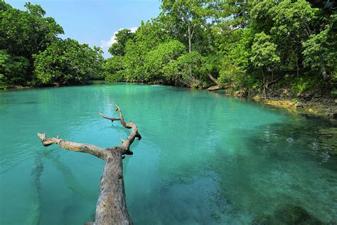 Blue Lagoon, Efate Island, Vanuatu by Peter Unger