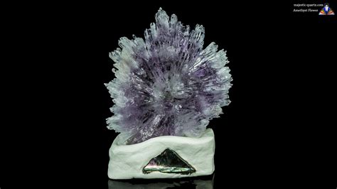 Amethyst Flowers Properties and Meaning + Photos | Crystal Information