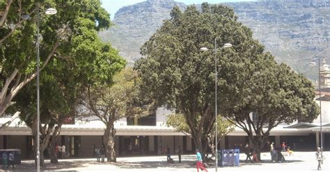 railway stations: South Africa: Cape Town