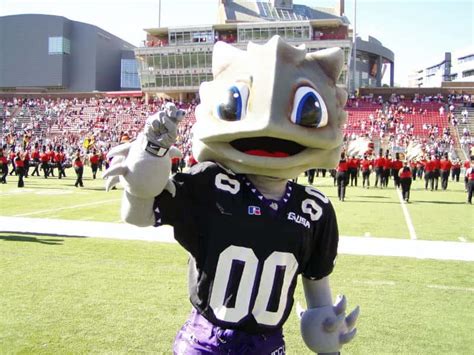 The Oddest Mascots in College Football | Cleverst