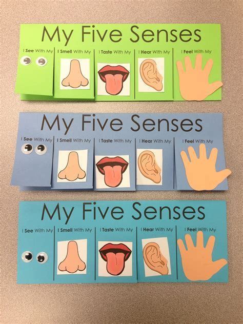 Image result for all about me theme for preschoolers Five Senses ...