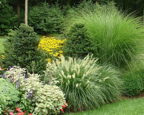 Beautiful Ornamental Grasses Landscaping - Ornamental grasses ...