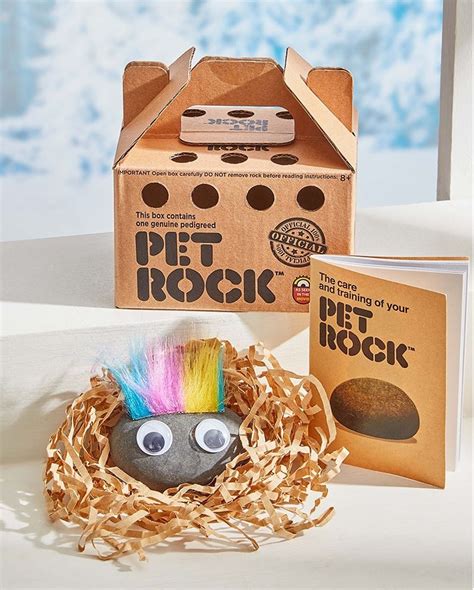 Original Classic Pet Rock - RetroFestive.ca