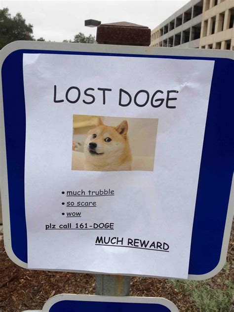 [Image - 620987] | Doge | Know Your Meme