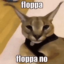 Floppa GIF - Floppa - Discover & Share GIFs