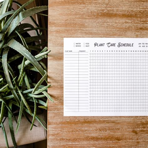 Plant Watering Schedule Free Printable - The Anastasia Co