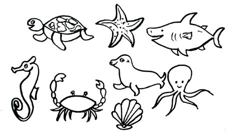 How to Draw Sea Animals drawing | Easy Step by Step drawing | Drawing ...