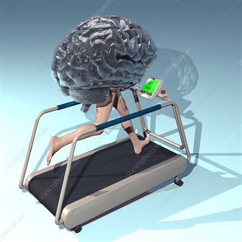 Running brain, conceptual artwork - Stock Image - P325/0215 - Science ...