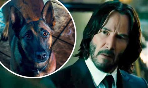 John Wick: Chapter 4 final trailer finds Keanu Reeves' title character ...