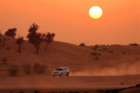 Dubai Desert Safari