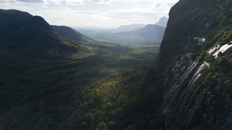 How Google Earth led a team of scientists to discover a rainforest on ...