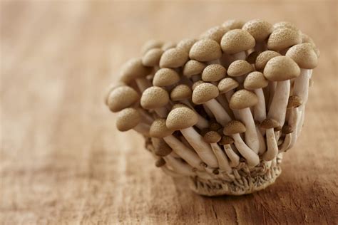 Types of Mushrooms - Guide to Buying and Storing