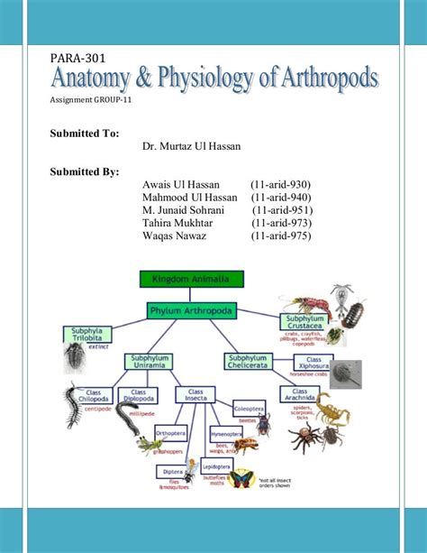 Anatomy Of Arthropods