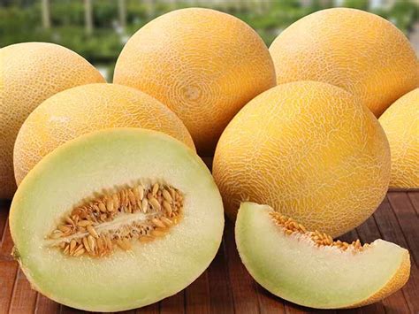 Top Honeydew Melon Benefits & Nutrition Facts | Organic Facts