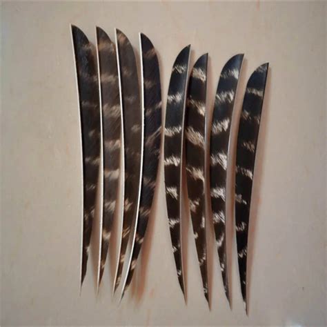 50pcs/lot3 4 5Hunting Arrow Feathers Turkey Feather Archery Arrow ...