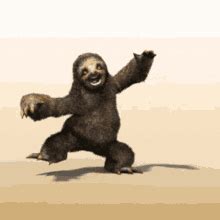 Sloth Dance GIFs | Tenor