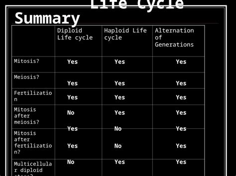 (PPT) Life Cycle Summary Diploid Life cycle Haploid Life cycle ...