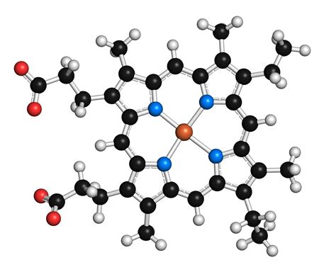 What Is a Coenzyme? (Coenzyme and Cofactor Definition)