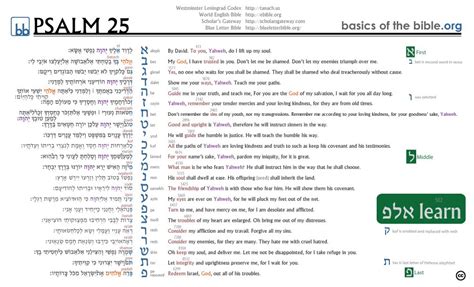 Pin on Bible Visualization