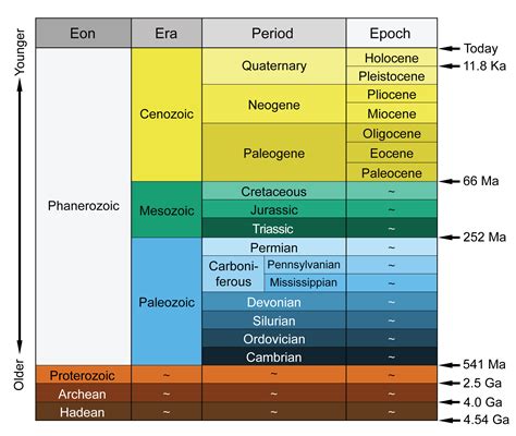 Abstraktion Koks Wählen geologic time scale Verletzen Spule Treiber