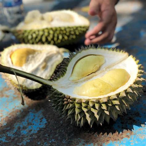 Durian Season In Penang 2024 - Margo Sarette