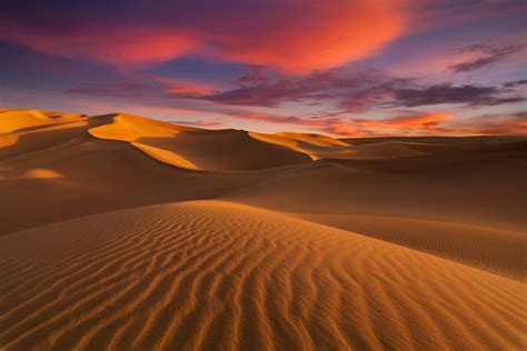 The Sahara: Earth's Largest Hot Desert | Desert photography, Nature ...