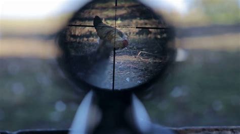 Sniper Scope View