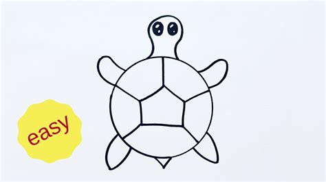 Beginners how to draw a cartoon turtle - very easy - YouTube