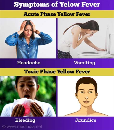 Yellow Fever | Acute Viral Hemorrhagic Fever - Causes, Symptoms ...