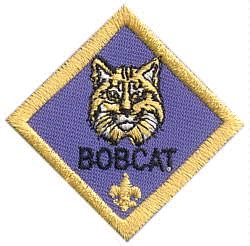 Bobcat Award