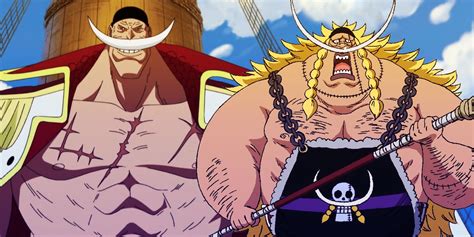 One Piece Theory: Edward Weevil Is Whitebeard's Clone - TrendRadars