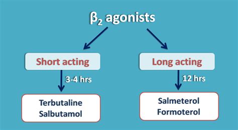 Beta adrenergic receptor agonists