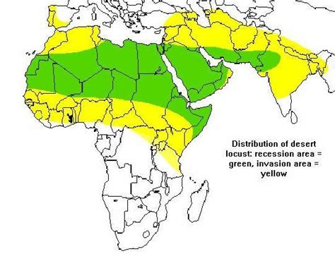 The Desert Locust in Africa and Western Asia: Complexities of War ...