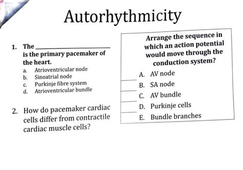 Solved Autorhythmicity 1. The Arrange the sequence in which | Chegg.com