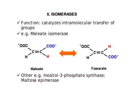 Enzymes