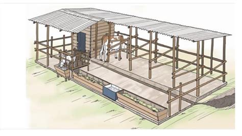 Cattle shed Design and construction information