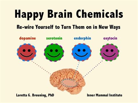 Happy brain chemicals: Dopamine, Serotonin, Oxytocin and Endorphin