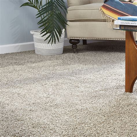 Best Shaw Carpet Colors | www.resnooze.com