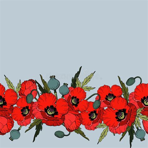 Poppy border stock vector. Illustration of fashioned - 37645215