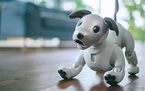 Sony Brings Back Artificially Intelligent Robot Dog Aibo - InsideHook